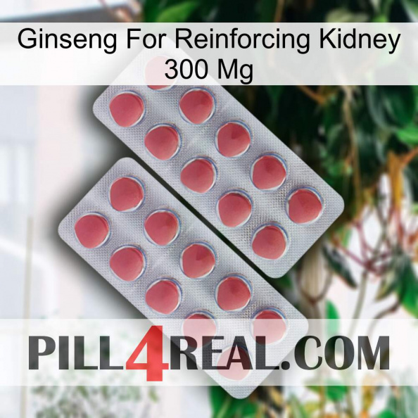 Ginseng For Reinforcing Kidney 300 Mg 19.jpg